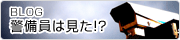 blogx͌IH