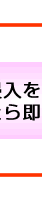 sR҂̐NȂB
瑦Ή\B